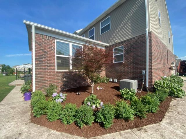 Corner foundation bed with a Japanese maple, hydrangeas, and boxwoods in dark mulch beside a brick home.