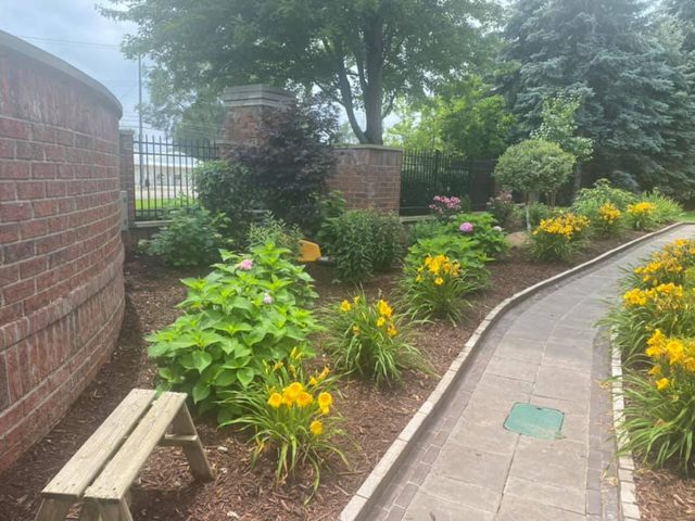 Curved paver walkway beside a brick wall, bordered by mulched beds of blooming yellow daylilies and perennials.