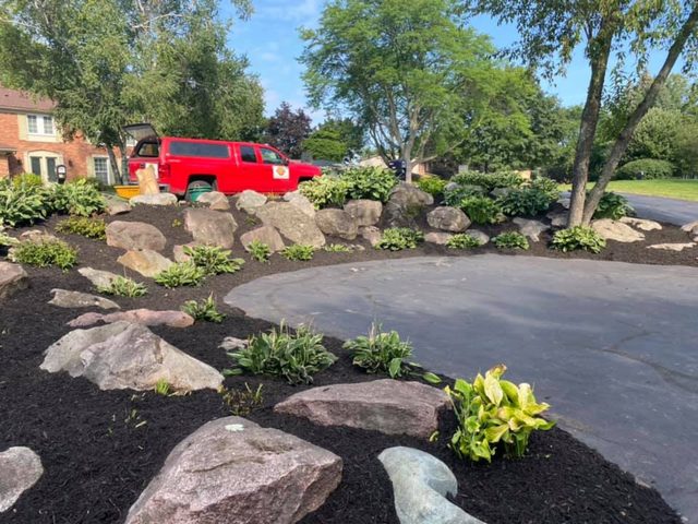 Boulder retaining wall planted with hostas and shrubs in fresh dark mulch beside a paved driveway.