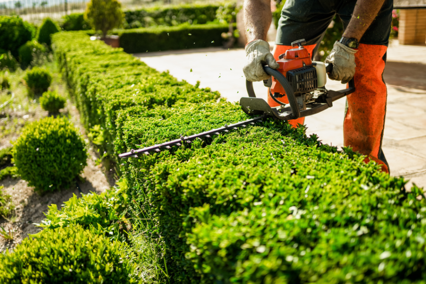 Landscape Maintenance