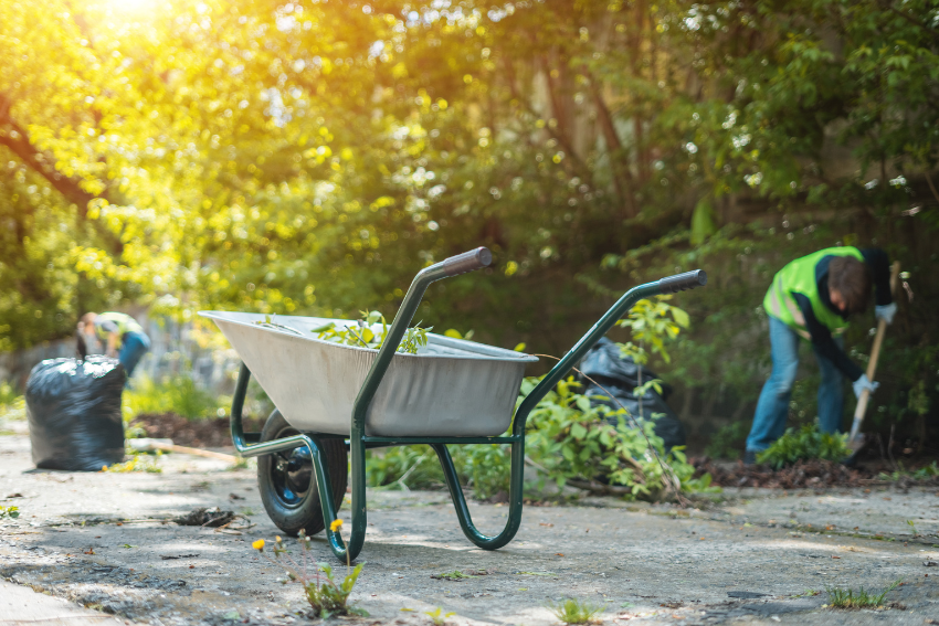 Spring & Fall Cleanup